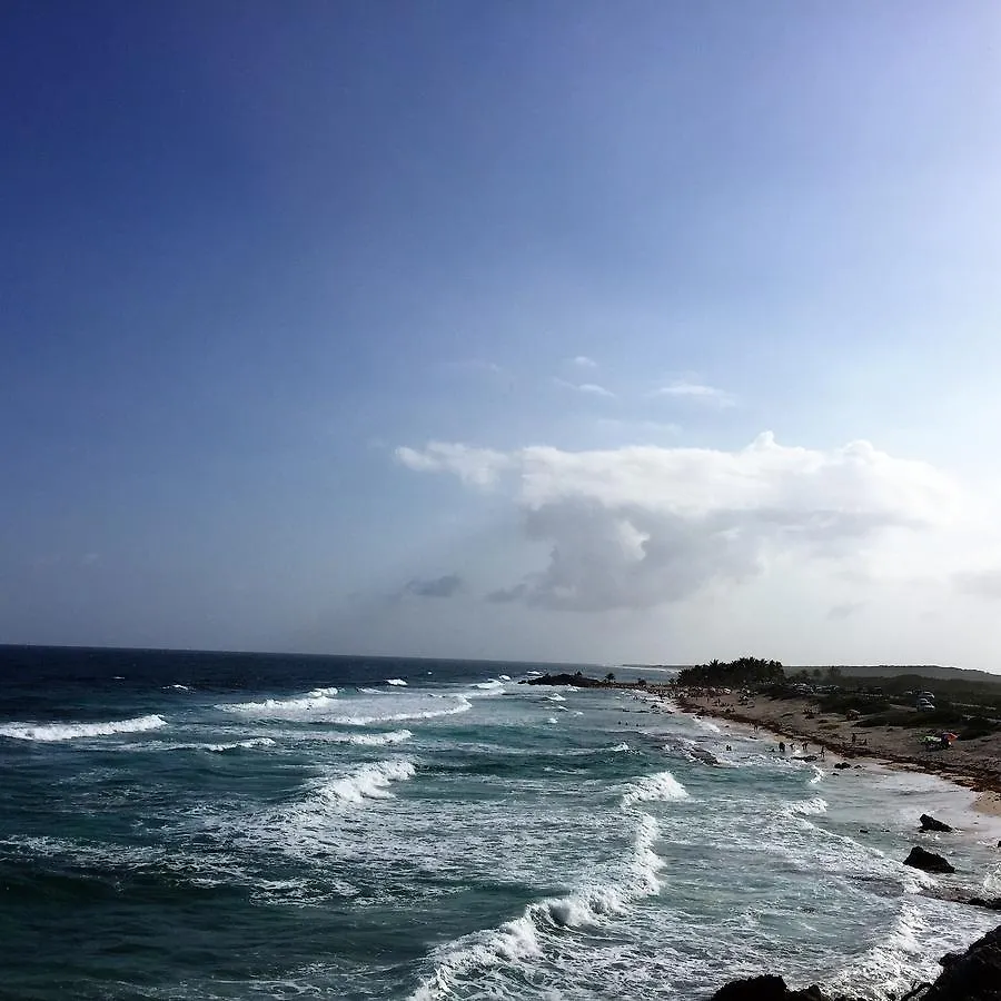 Lägenhet Suites Cozumel Mexiko